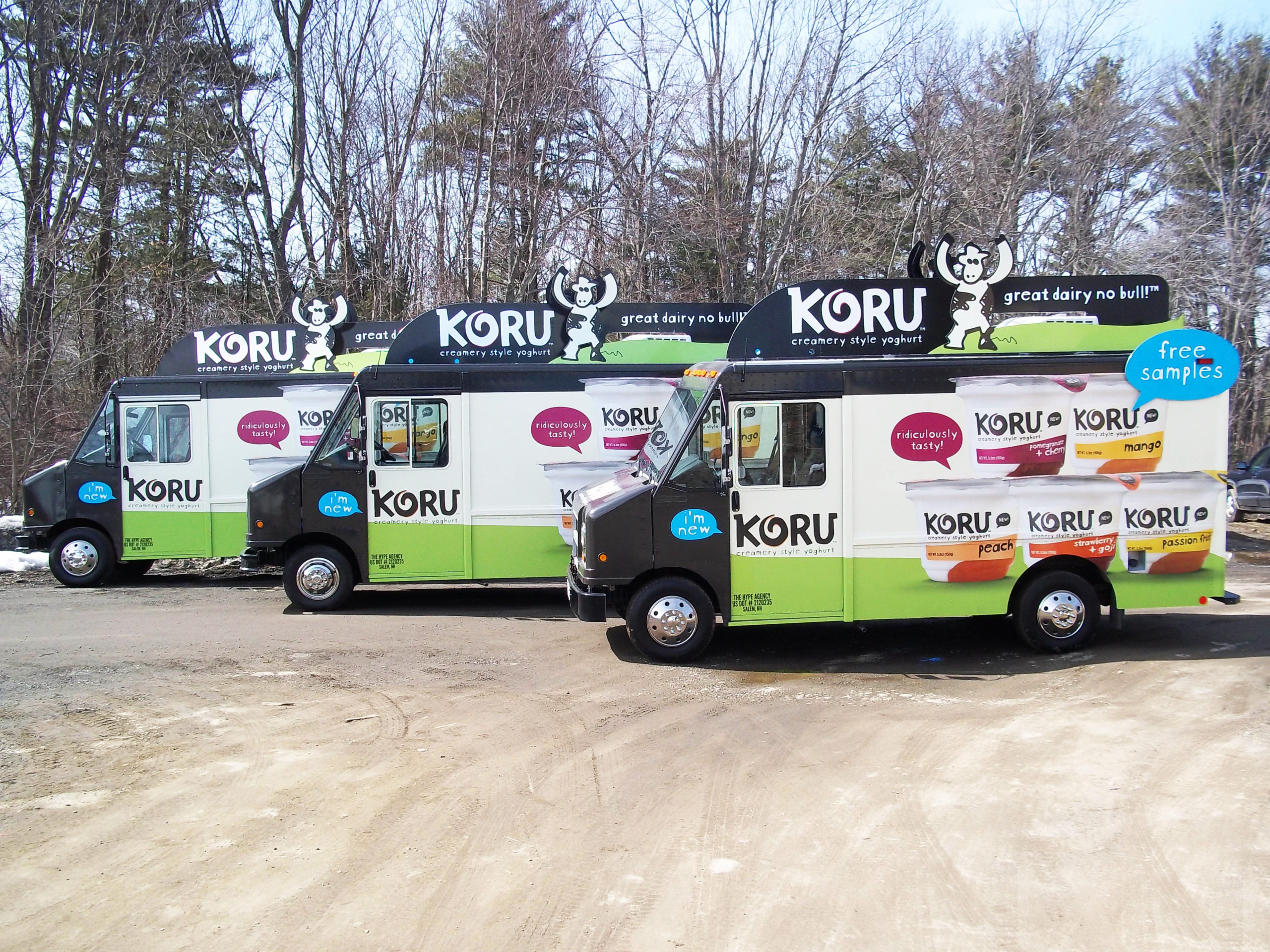 A fleet of Koru vehicles built by Turtle Transit.